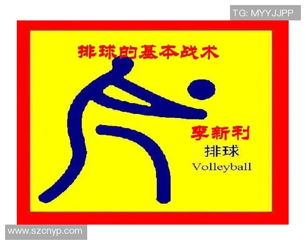 武汉排球队反击战术深度解析与实战应用探讨